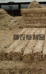 給樹(shù)干綁草繩有什么影響？